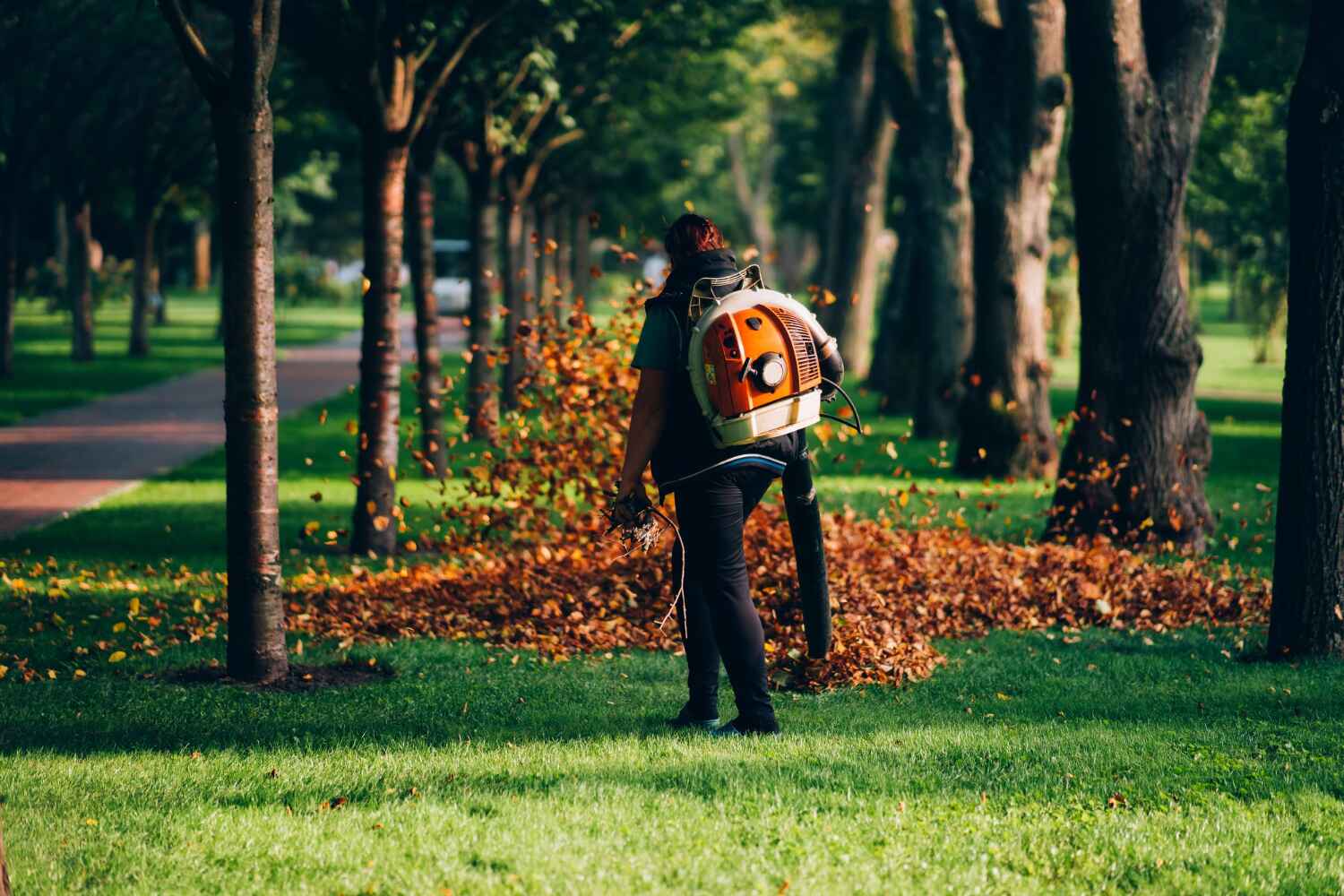 Best Tree Removal Contractors  in Point Baker, FL